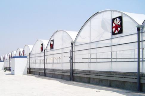 Dairesel Çok Açıklıklı Sera