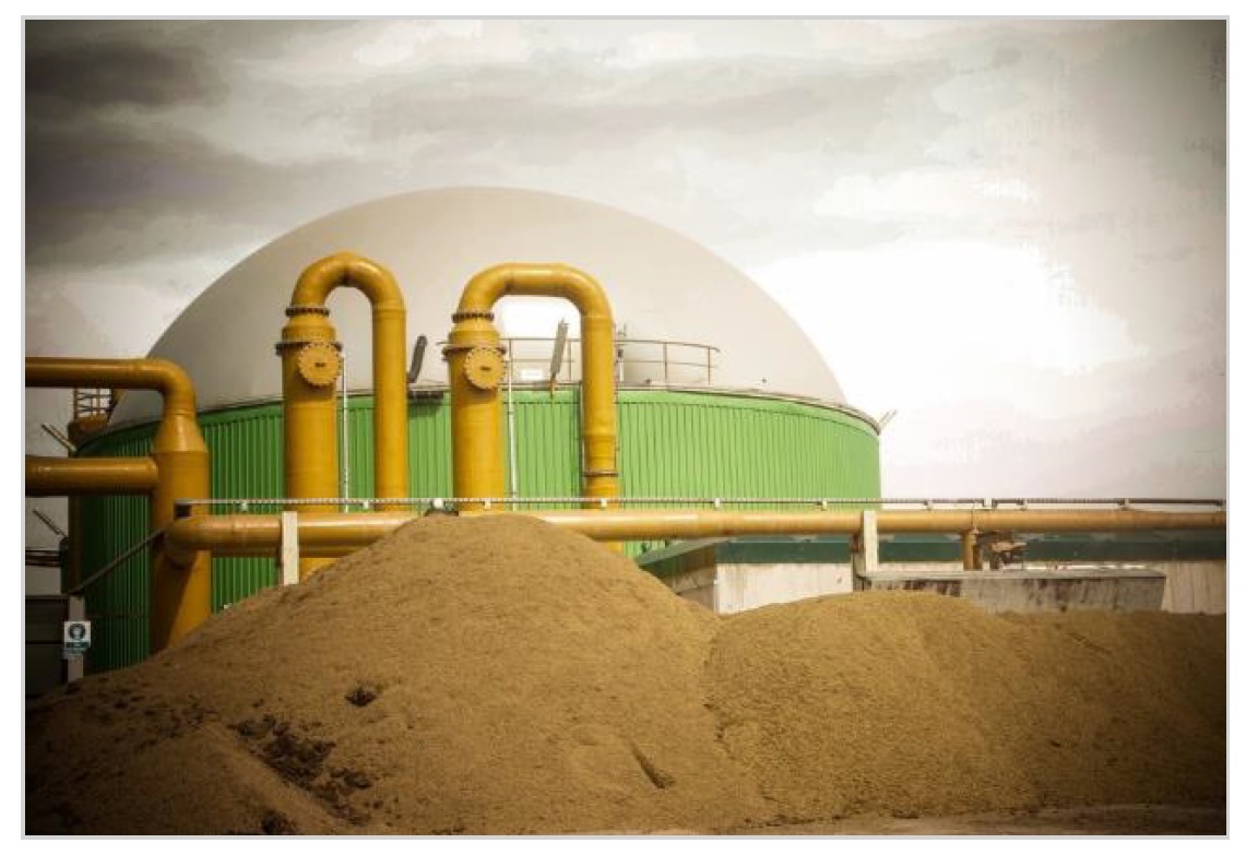 Bitkisel ve Hayvansal Kaynaklı Biyokütle Enerji Tesisi