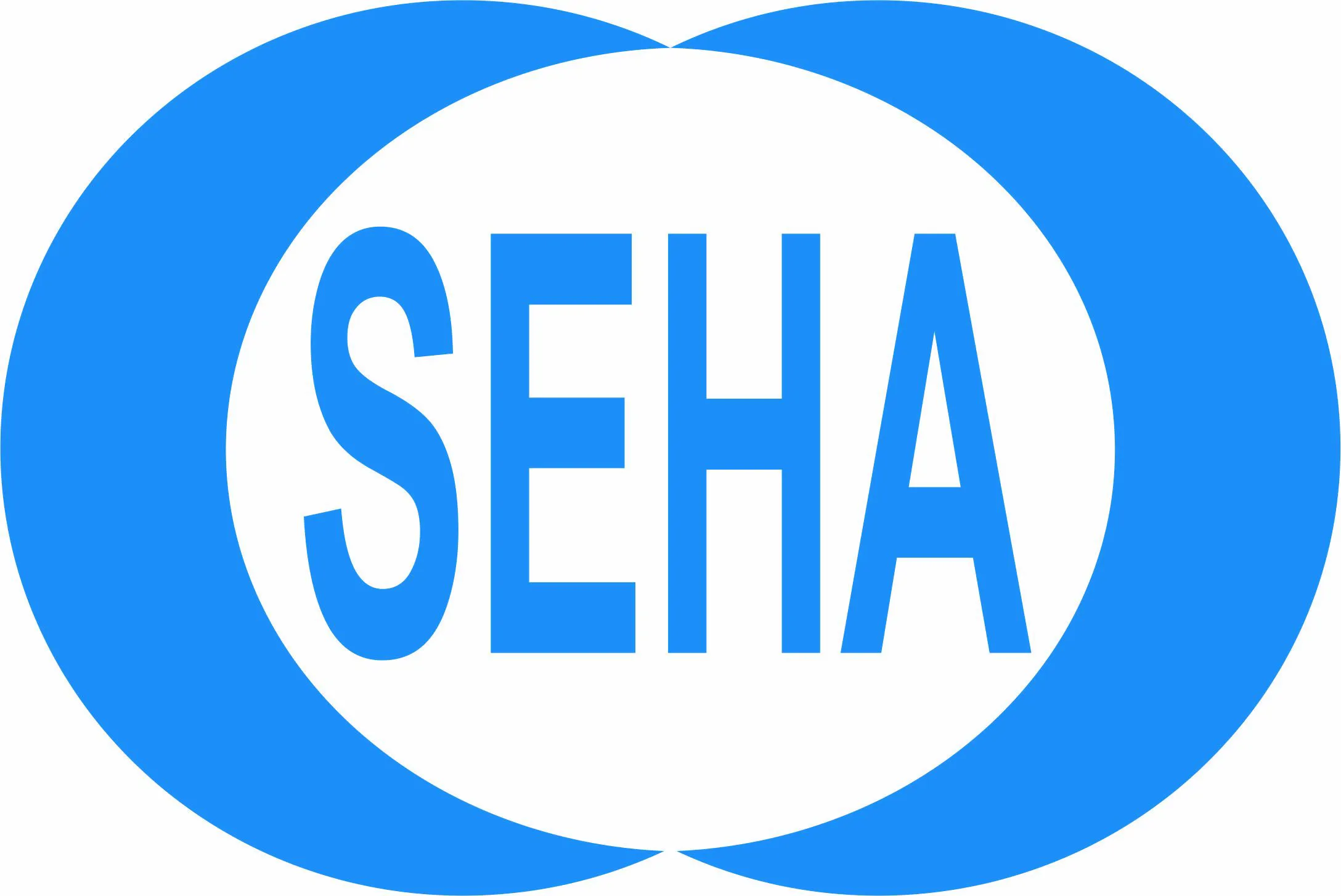 SEHA Mühendislik Müşavirlik Tic. ve Makina San. A.Ş.