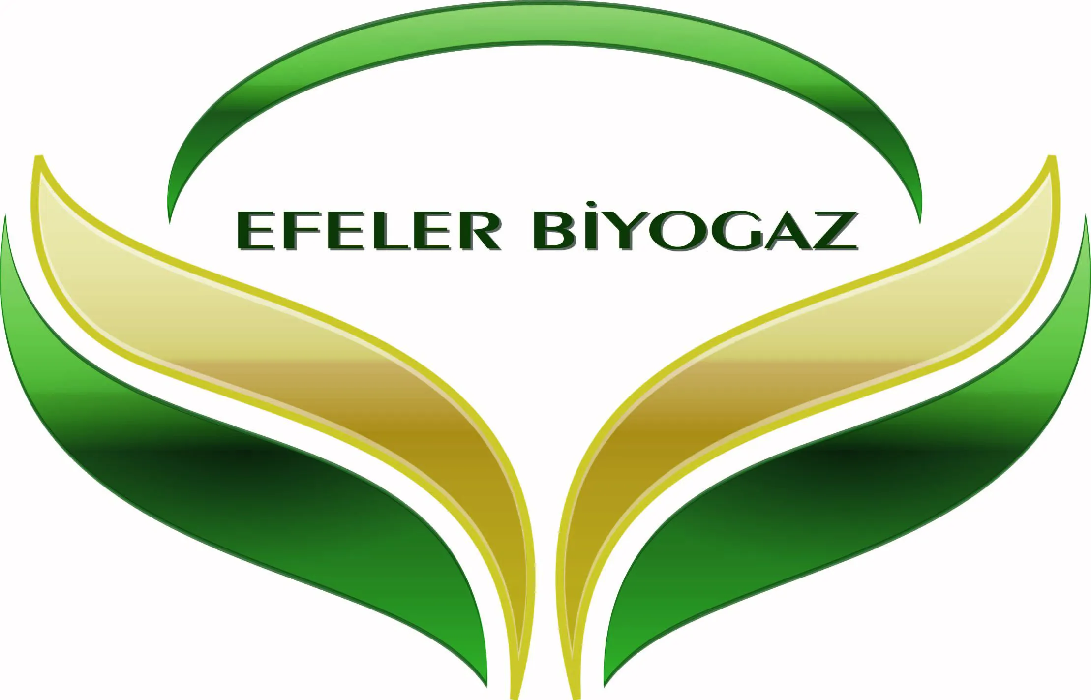EFELER BİYOGAZ ELEKTRİK ÜRETİM A. Ş.